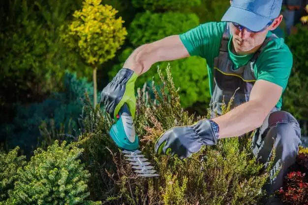 landscaping services Phelps